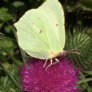 Projektmonat wasser - kleine Naturwissenschaftler unterwegs „Ab ins Beet“ - Eltern und Erzieherinnen Hand in Hand IMG_0911