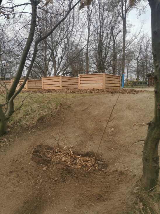 Wir freuen uns schon darauf, mit den Kindern zu säen und zu pflanzen IMG_20220402_123129