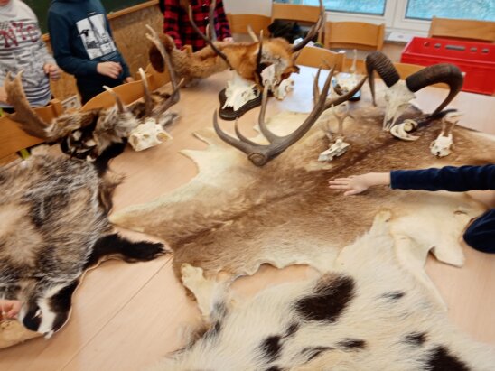 ob das wirklich wärmt? smart