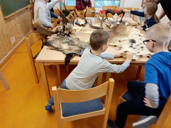 Wie unterschiedlich das Fell der verschiedenen Tiere ist, nicht nur in der Farbe. smart