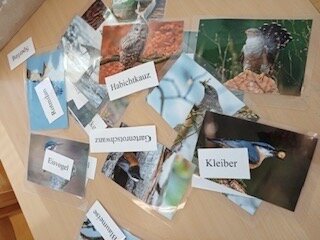 PHOTO-2023-03-01-07-40-54 2