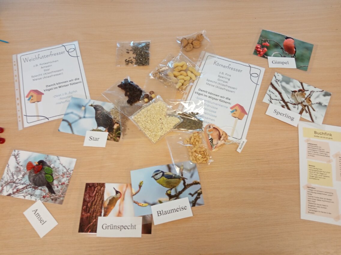 PHOTO-2023-03-01-07-40-61