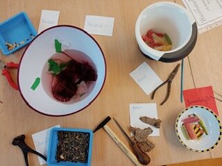 PHOTO-2023-03-01-07-40-62