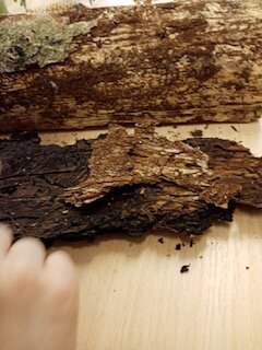 PHOTO-2023-05-05-09-44-14[2]