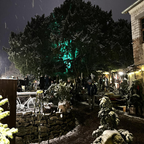 Inszenierte Fotografie, Eibe I - Foto Anne Hasselbach