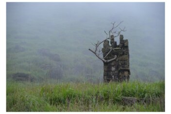 53cc18a1-38e6-48fe-b90c-645f4e236cc7