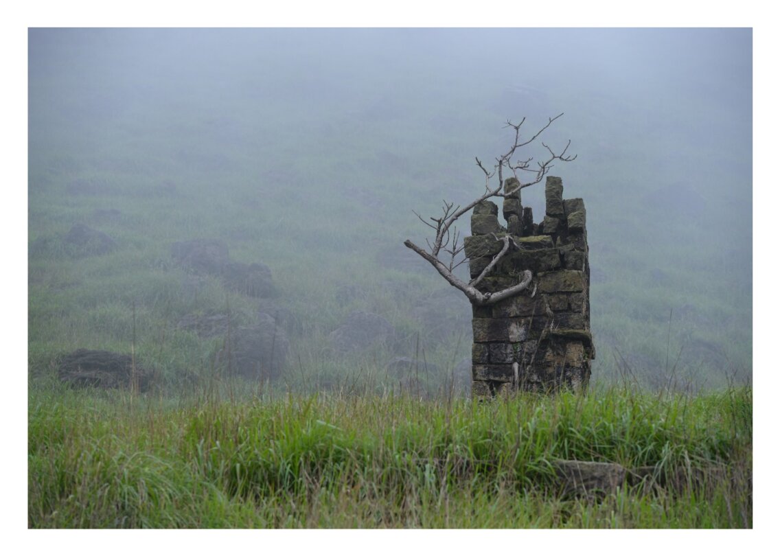 53cc18a1-38e6-48fe-b90c-645f4e236cc7 53cc18a1-38e6-48fe-b90c-645f4e236cc7