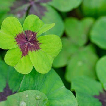 Projektmonat wasser - kleine Naturwissenschaftler unterwegs Wie werden wir glücklich? Hygienemuseum Dresden Glück