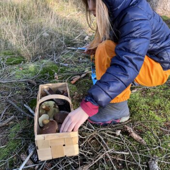Projektmonat wasser - kleine Naturwissenschaftler unterwegs Hort: Was Oma noch weiß - und wir jetzt auch ... Pilzwanderung IMG_7803
