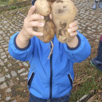 Blauer Tag - die Feuerwehr war da! Eine zauberhafte Knolle - unser Kartoffelprojekt k_DSCN2547 2