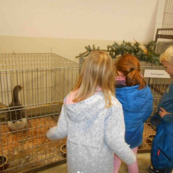 Blauer Tag - die Feuerwehr war da! Gans, Ente, Huhn und Taube - wie schön sie aussehen! Geflügel1