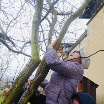 Kleine Forscher - Experiment Raketenauto Wir helfen unseren Vögeln im Winter B_Vogel1