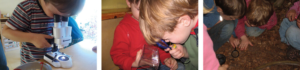 210521_bildungsanzatz_nawi