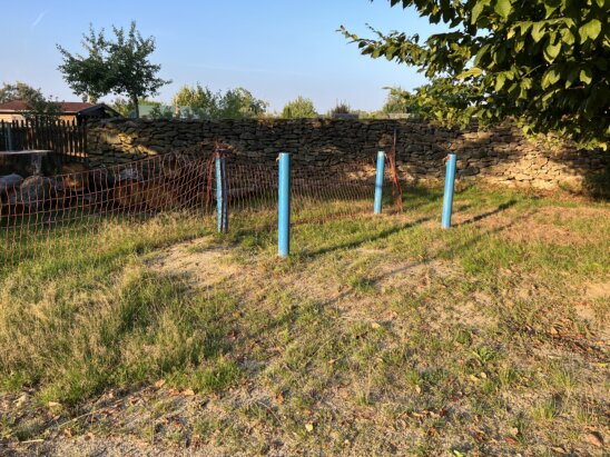 Schwungpferd - wo bist du? (Pferd war irgendwo verschimmelt) vorher Schwungpferd - wo bist du? (Pferd war irgendwo verschimmelt) vorher