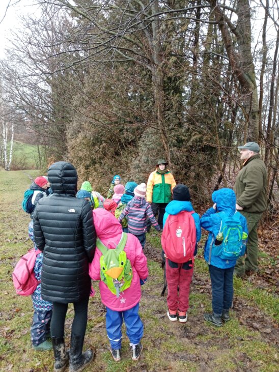 Bäume und Sträucher. Daran gehen wir sonst achtlos vorbei.