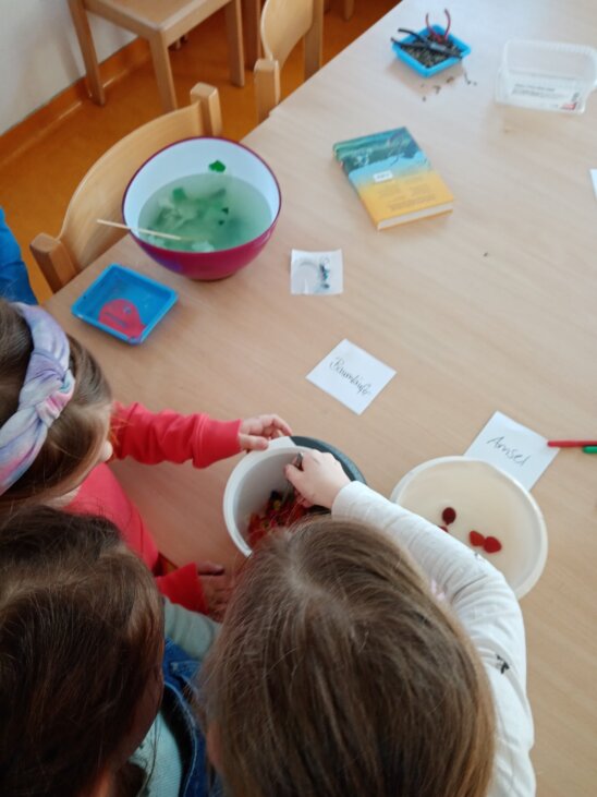 Frühstück für unsere Vögel