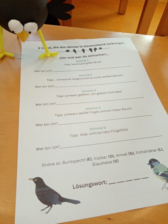 Die Amsel erkennt man leicht am schwarzen Kleid. Männchen haben einen orangenen Schnabel und einen klein weißen Ring um das Auge. Und Amseln singen so schön und hingebungsvoll - meist auf einem erhöhten Platz im Garten.