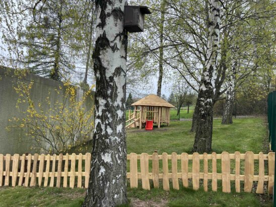 Zäune sehen jetzt schön aus Zäune sehen jetzt schön aus