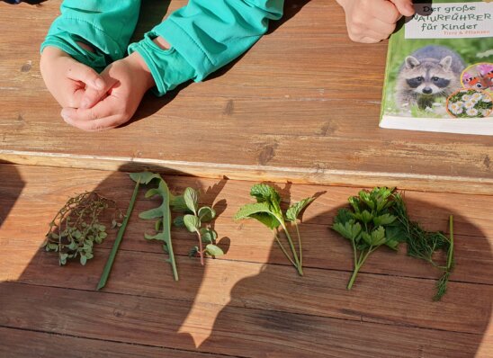 wir üben genau zu bestimmen, was wir gesammelt haben wir üben genau zu bestimmen, was wir gesammelt haben