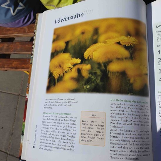 wir erfahren, was man damit alles zubereiten kann wir erfahren, was man damit alles zubereiten kann