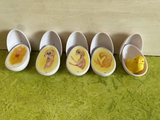 So entwickelt sich das Küken - und man kann es immer besser erkennen. So ähnlich ist es auch in Mamas Bauch, nur dass sich dort ein Baby entwickelt.