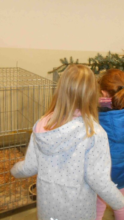 Blauer Tag - die Feuerwehr war da! Gans, Ente, Huhn und Taube - wie schön sie aussehen! Blauer Tag - die Feuerwehr war da! Gans, Ente, Huhn und Taube - wie schön sie aussehen!